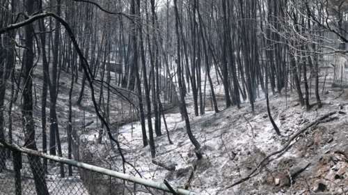Φωτιά στη Βαρυμπόμπη: Σε κατάσταση Έκτακτης Ανάγκης Πολιτικής Προστασίας ο δήμος Αχαρνών