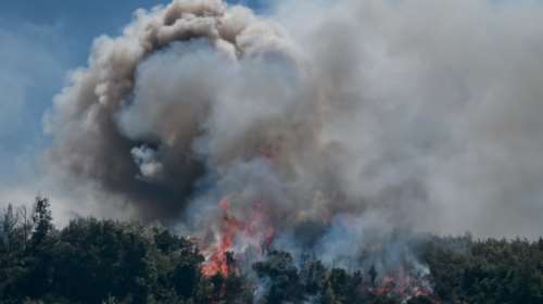 Φωτιές σε Νέα Στύρα και Βαρνάβα: Οι συνθήκες που ευνόησαν την εξάπλωσή τους - Ξεπέρασαν τα 100 km/h οι ριπές του ανέμου
