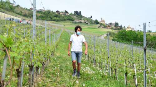 Γαλλία: Χαλαζόπτωση κατέστρεψε χιλιάδες στρέμματα αμπελώνων Μπορντό