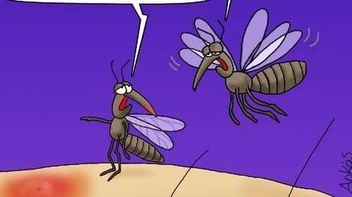 Αρκάς: Το χιουμοριστικό σκίτσο για το... δράμα με τα κουνούπια κάθε καλοκαίρι