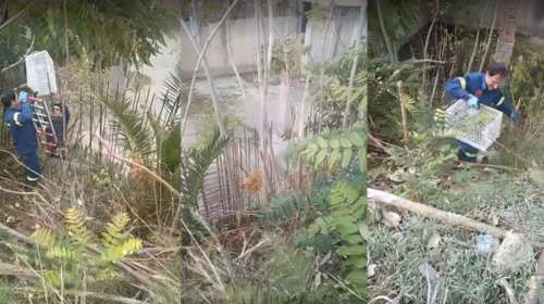 Χανιά: Μεγάλη κινητοποίηση για εγκλωβισμένο γατάκι σε απελπιστική κατάσταση - Εκλαιγε τρεις ημέρες [Βίντεο]