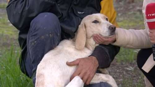 Στροφυλιά: Το όνομά της πλέον είναι Ιντα - Αντί να πάει στην τροφή, ήπιε έναν κουβά νερό