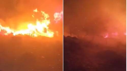 Χανιά: Υπό μερικό έλεγχο η πυρκαγιά σε δασική έκταση στην Κάντανο [βίντεο]