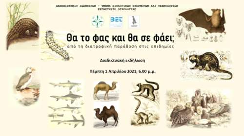 Μεζές νυχτερίδας, κάμπια γιαχνί και πτερύγιο καρχαρία: Πώς η κατανάλωση άγριων ζώων συνδέεται με επιδημίες
