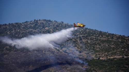 Φωτιά σε δασική έκταση στην Ελασσόνα