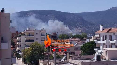 Κορωπί: Υπό μερικό έλεγχο η φωτιά - Αμεση κινητοποίηση της πυροσβεστικής