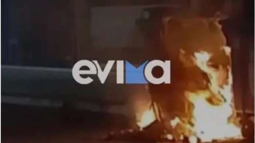 Φρίκη στην Εύβοια: Έκαψαν κουτάβια σε κάδο σκουπιδιών - &quot;Αυτό που είδαμε δεν περιγράφεται&quot;, ξεσπά κάτοικος στα Ψαχνά