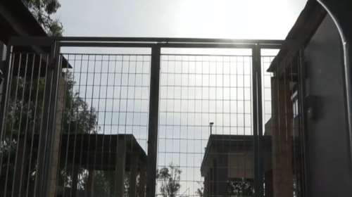 Φυλή: Τι λέει φίλος του 12χρονου αυτόχειρα - &quot;Δεν του άρεσε να τον λένε κοριτσάκι και να τον βαράει συγκεκριμένο άτομο&quot;