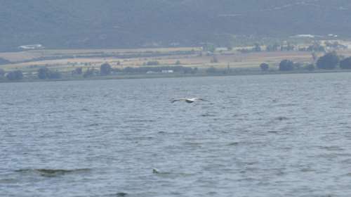 Βρέθηκαν νεκροί τρεις άνδρες στη Βόλβη