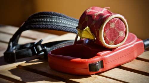 Η αστραπιαία αντίδραση πυροσβεστών έσωσε σκυλάκι όταν το λουρί του πιάστηκε στο ασανσέρ - Ο απόλυτος εφιάλτης