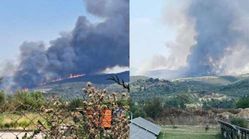 Φωτιά στη Σπάρτη: Ανεξέλεγκτες διαστάσεις πήρε η πυρκαγιά στο Πυργί- Τέσσερα μεγάλα μέτωπα μήκους 5 χλμ.