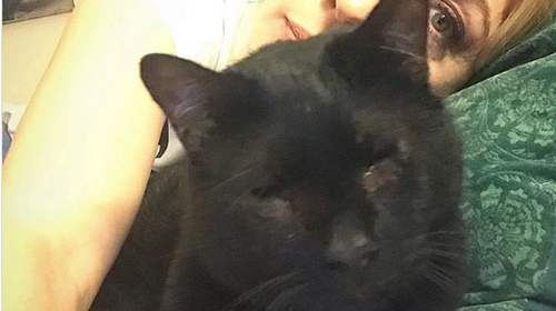 Συγκινεί η Σμαράγδα Καρύδη: Εφυγε ο Φωτάκος και χαρίζει τις τροφές του