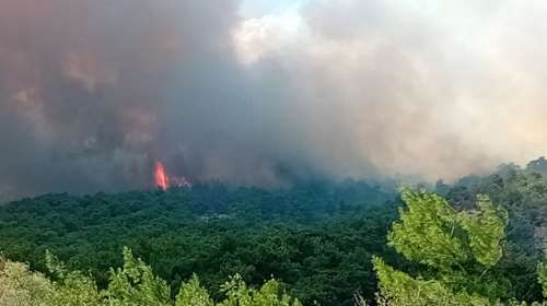 Υπουργείο Οικονομικών: Παράταση στην υποβολή φορολογικών δηλώσεων και αναστολή οφειλών για τους πυρόπληκτους του Έβρου