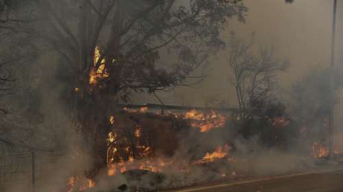 Φωτιά στην Μάνη: Εκκενώθηκε προληπτικά ο οικισμός Λιβάδια