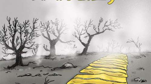 Αρκάς: Το τραγικό σκίτσο της μαύρης γης μετά τις καταστροφικές φωτιές