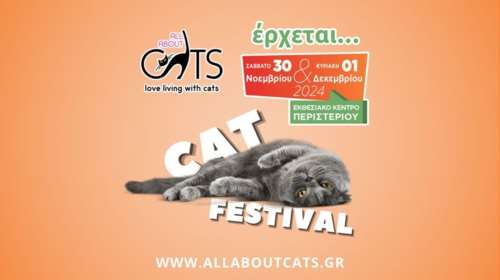 All About Cats Festival: Το πρώτο φεστιβάλ αφιερωμένο σε όλες τις γάτες Ράτσας και Ταράτσας