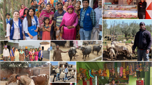 ΔΟΜ: 16.500 εθελούσιες επιστροφές στην επόμενη τριετία