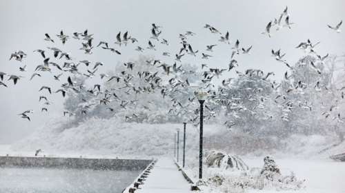 Στυλιανίδης: Σε δύο κύκλους έρχεται το κύμα της κακοκαιρίας - Έχουν ήδη παρθεί μέτρα για να κρατήσουμε το εθνικό δίκτυο ανοιχτό