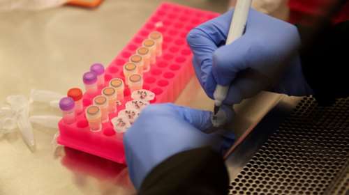 Το Ισραήλ ξεκινά δοκιμές πρωτότυπου εμβολίου κατά του κορονοϊού σε τρωκτικά