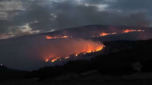 Φωτιά στη Λάρισα: Καίει σε διάσπαρτα μέτωπα στο Αμύγδαλο - Επιχειρούν και εναέρια μέσα