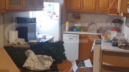 Ελενα Πολυχρονοπούλου: Ντοκουμέντο από το σπίτι του συντρόφου της, που συνελήφθη για κοκαΐνη