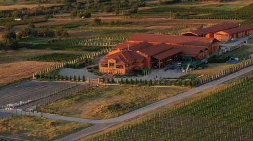 Από ξινόμαυρο μέχρι Sauvigon Blanc: Ποιο είναι το οινοποιείο &quot;Κτήμα Αλφα&quot; που επισκέφθηκε ο Μητσοτάκης στο Αμύνταιο