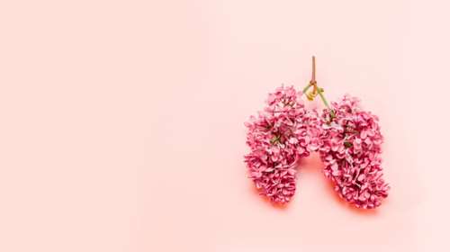 Παγκόσμια Ημέρα Κυστικής Ίνωσης: Η νόσος και η ιστορία της Λένας που έκανε μεταμόσχευση πνευμόνων