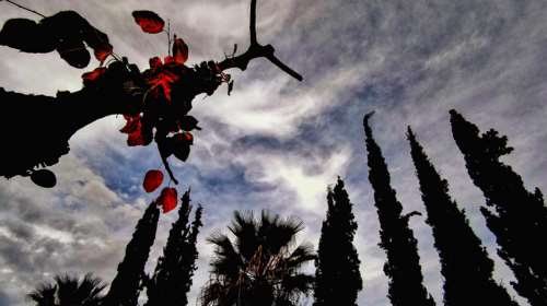 Καιρός: Ανεβαίνει λίγο η θερμοκρασία σήμερα - Σε ποιες περιοχές θα βρέξει