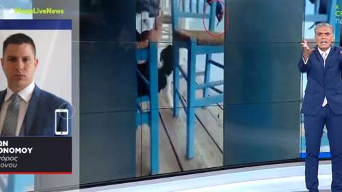 Πυρ και μανία ο Νίκος Ευαγγελάτος για το γατάκι στην Αιδηψό:  "Οι μάγκες της φακής" φώναζε στην εκπομπή του