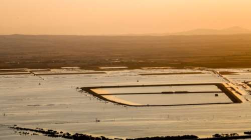 Το σχέδιο των Ολλανδών για τη &quot;θωράκιση&quot; του Θεσσαλικού κάμπου - Αντιπλημμυρικά έργα, δεξαμενές ποτίσματος, προγράμματα εκπαίδευσης