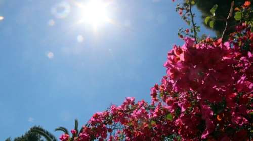 Ο καιρός σήμερα: Στους 27 βαθμούς η θερμοκρασία, άνεμοι έως 7 μποφόρ