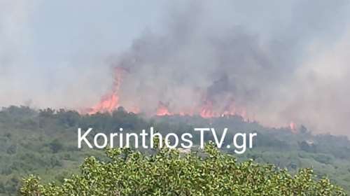 Φωτιά στο Χαλκί Κορινθίας: Συναγερμός στην Πυροσβεστική - Οι φλόγες κατευθύνονται προς Αρχαία Νεμέα