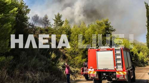 Υπό μερικό έλεγχο η δασική πυρκαγιά στη Φιγαλεία