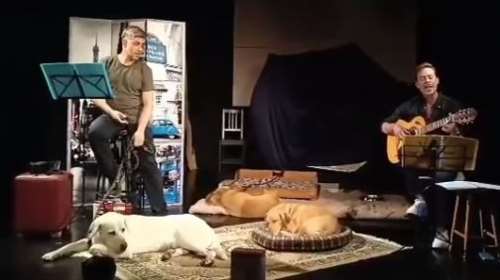 Η πρώτη στα χρονικά παράσταση με τρια σκυλιά επί σκηνής στο Θέατρο Παραμυθίας για πολύ πολύ καλό σκοπό