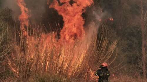 Ξεκινάει η εκπαίδευση των 500 δασοκομάντος - Πραγματοποιήθηκε η ορκωμοσία κατάταξής τους