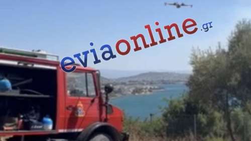 Μεγάλη φωτιά στη Νέα Αρτάκη Εύβοιας: Εκκενώνεται οικισμός - Ηχησε το 112