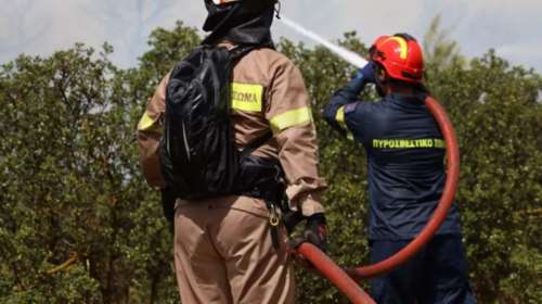 Λάρισα: Πυρκαγιά στην περιοχή της Χάλκης