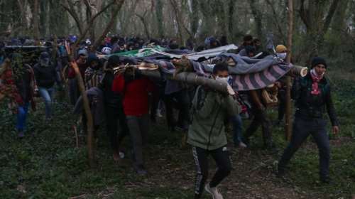 Καστανιές Έβρου: Με αυτοσχέδιες σκάλες τύπου μεσαίωνα επιχείρησαν να μπουν στην Ελλάδα [βίντεο]