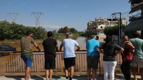 Kακοκαιρία Daniel - Παγώνη: Υγειονομική βόμβα τα πνιγμένα ζώα στον κάμπο