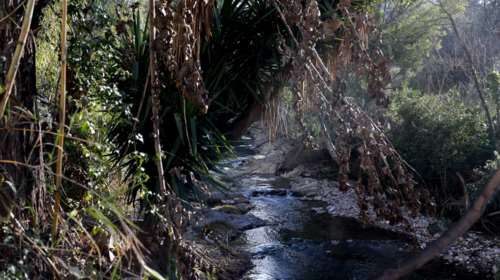 Θεσσαλονίκη: Γνωστός της οικογένειας ο 42χρονος που ασέλγησε σε ανήλικη - Πώς ξέφυγε το κορίτσι στο ρέμα