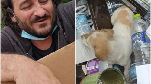 Πράξη ανθρωπιάς από τον Βασίλη Χαραλαμπόπουλο: Μπήκε σε κάδο με σκουπίδια να πάρει κουτάβι που είχαν πετάξει [βίντεο]