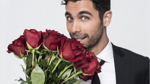 Ο Παναγιώτης Βασιλάκος αποδομεί την Νικολέττα Τσομπανίδου: Η αλήθεια για τη δήλωση &quot;επανασύνδεσης&quot;