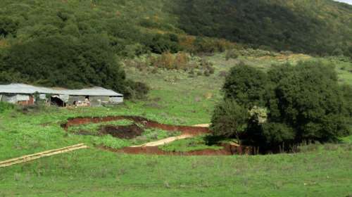 Δημ. Παρασκευής για αιμορραγικό πυρετό: Δεν μεταδίδεται εύκολα -  Μεμονωμένα τα περιστατικά και όχι εκτεταμένα κρούσματα