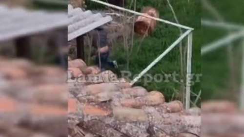 Tην... πάτησε ο διαρρήκτης στη Λαμία: Υπολόγισε χωρίς τους γείτονες [βίντεο]