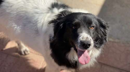 Μετράμε τα χρόνια...χρόνια στον δρόμο, χρόνια σε πανσιόν... Ας αρχίσουμε να μετράμε τα χρόνια σε σπίτι