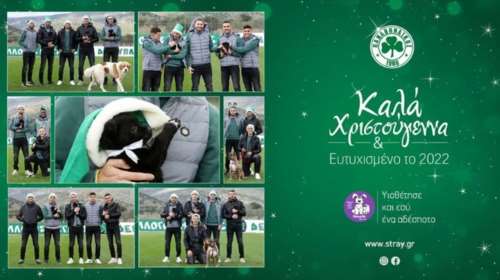 Παναθηναϊκός: Η ξεχωριστή ευχή για τις γιορτές - &quot;Υιοθέτησε κι εσύ έναν αδέσποτο σκύλο&quot;