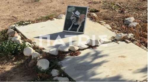 Το τελευταίο σπίτι της Κανέλας στο Αεροδρόμιο Ηρακλείου: Χρόνια συνόδευε τις αφίξεις και τις αναχωρήσεις των επιβατών