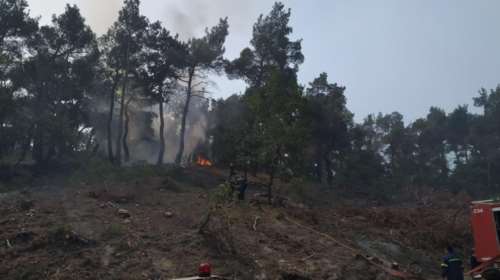 Κρήτη: Υπό έλεγχο η φωτιά στο Επανωχώρι - Συνελήφθη ένα άτομο που ομολόγησε εμπρησμό από αμέλεια