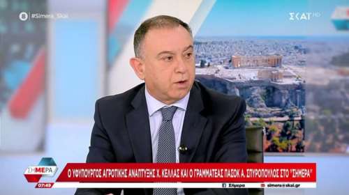 Κέλλας: Ιδιόρρυθμος χαρακτήρας η Κωνσταντοπούλου - Δεν με νοιάζει που δεν μου έδωσε το χέρι