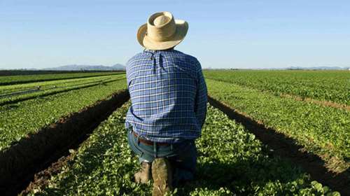 Στις 6 Δεκεμβρίου η επιστροφή 76 εκατ. ευρώ του ΕΦΚ για το πετρέλαιο σε αγρότες